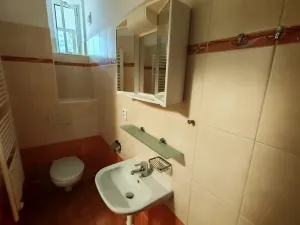 Pronájem bytu 1+kk, Praha - Nové Město, Na bojišti, 36 m2