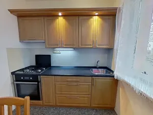 Pronájem bytu 3+1, Pelhřimov, Boženy Němcové, 76 m2