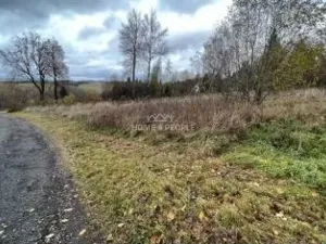 Prodej pozemku pro bydlení, Světlík, 2620 m2