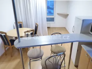 Pronájem bytu 2+kk, Roudnice nad Labem, Okružní, 42 m2