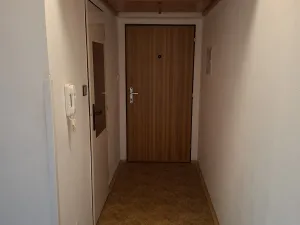 Pronájem bytu 1+1, Vysoký Chlumec, 33 m2