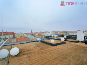 Pronájem bytu 5+kk, Praha, Belgická, 259 m2