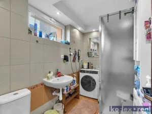 Prodej rodinného domu, Hradec Králové, U Jednoty, 300 m2