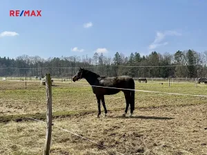 Prodej zemědělského objektu, Spálené Poříčí, 164000 m2