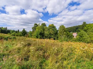 Prodej louky, Bedřichov, 5250 m2