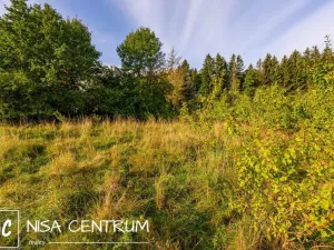 Prodej pozemku pro bydlení, Liberec - Liberec XIX-Horní Hanychov, 1533 m2