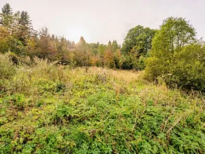 Prodej louky, Bedřichov