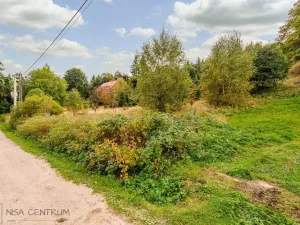 Prodej louky, Bedřichov