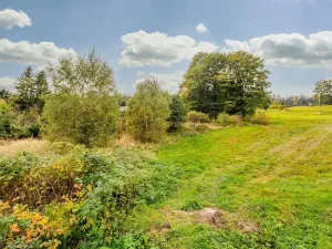 Prodej louky, Bedřichov