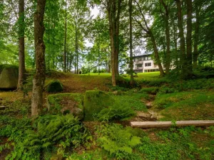 Prodej ubytování, Janov nad Nisou, 1 m2