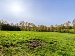 Prodej louky, Jablonec nad Nisou - Proseč nad Nisou, 10370 m2