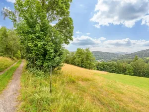 Prodej louky, Víchová nad Jizerou, 23358 m2