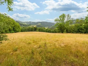 Prodej louky, Víchová nad Jizerou, 23358 m2