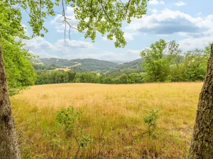 Prodej louky, Víchová nad Jizerou, 23358 m2