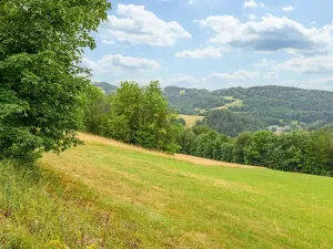 Prodej louky, Víchová nad Jizerou, 23358 m2