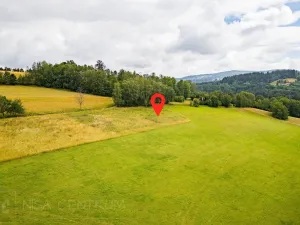 Prodej louky, Víchová nad Jizerou, 991 m2
