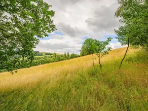 Prodej louky, Víchová nad Jizerou, 991 m2