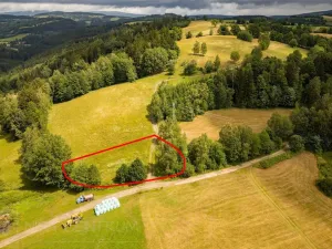Prodej louky, Víchová nad Jizerou, 1739 m2