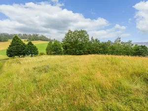 Prodej louky, Víchová nad Jizerou, 1739 m2