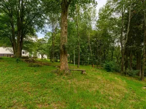 Prodej komerčního pozemku, Janov nad Nisou, 1809 m2