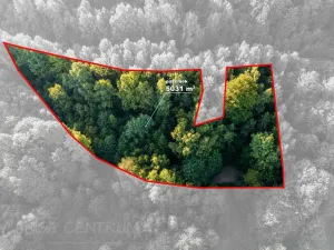 Prodej lesa, Nová Ves nad Nisou, 5031 m2