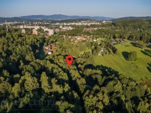 Prodej lesa, Nová Ves nad Nisou, 5031 m2