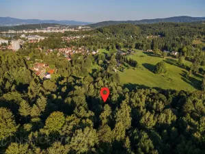 Prodej lesa, Nová Ves nad Nisou, 5031 m2