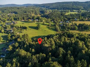 Prodej lesa, Nová Ves nad Nisou, 5031 m2