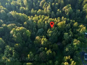 Prodej lesa, Nová Ves nad Nisou, 5031 m2