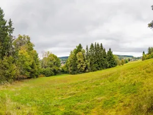 Prodej louky, Maršovice, 4745 m2