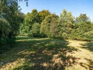 Prodej lesa, Šimonovice, 30343 m2