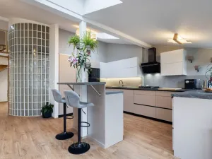 Prodej atypického bytu, Praha - Vinohrady, Vozová, 260 m2