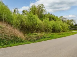 Prodej pozemku pro bydlení, Pertoltice, 1849 m2