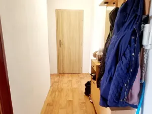 Pronájem bytu 1+1, Opava, 17. listopadu, 38 m2