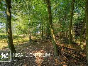 Prodej lesa, Obruby, 3075 m2