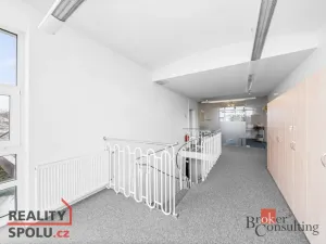 Pronájem rodinného domu, Průhonice, U Křížku, 447 m2