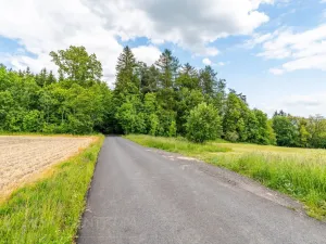 Prodej pozemku pro bydlení, Železný Brod, 3984 m2