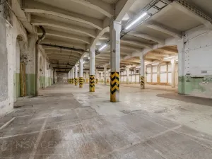 Pronájem výrobních prostor, Hostinné, 6000 m2