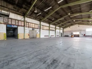 Pronájem výrobních prostor, Hostinné, 6000 m2