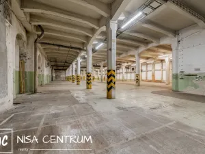 Pronájem výrobních prostor, Hostinné, Nádražní, 6000 m2