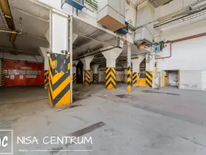 Pronájem výrobních prostor, Hostinné, Nádražní, 6000 m2