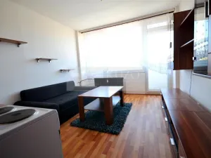 Pronájem bytu 1+kk, Chomutov, Seifertova, 22 m2