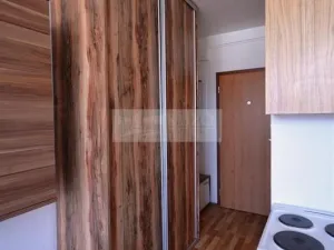 Pronájem bytu 1+kk, Chomutov, Seifertova, 22 m2