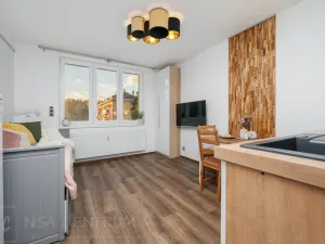 Pronájem bytu 1+kk, Velké Hamry, 27 m2