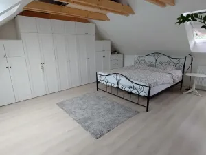 Prodej rodinného domu, Hředle, 398 m2