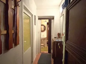 Prodej bytu 2+1, Olomouc, Na Letné, 43 m2