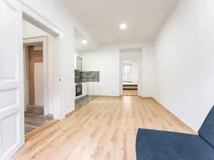 Prodej bytu 1+1, Praha - Nusle, Oldřichova, 48 m2