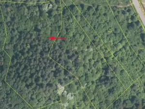 Prodej podílu louky, Jankovice, 4420 m2