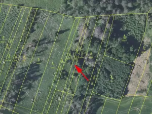 Prodej louky, Trhový Štěpánov, 372 m2