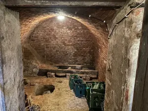 Prodej rodinného domu, Rakvice, Luční, 220 m2